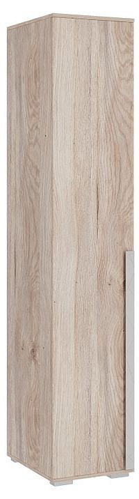 Шкаф платяной Лайк 01.01 (дуб мария галька, дуб мария  400x550x2100)