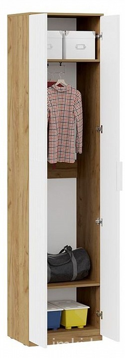 Шкаф платяной Хилтон Исп. 2 (дуб крафт золотой белый  552x428x2260)