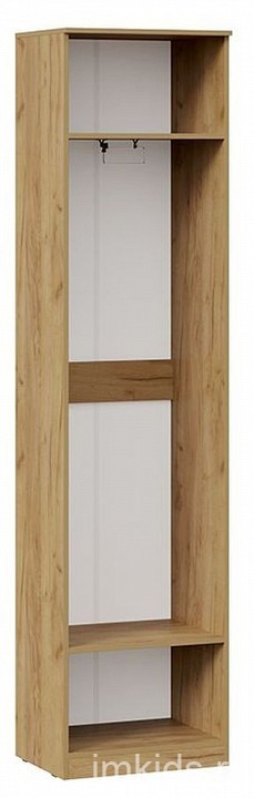 Шкаф платяной Хилтон Исп. 2 (дуб крафт золотой графит  552x428x2260)