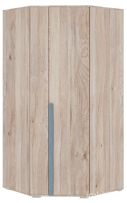 Шкаф платяной Лайк 06.01 (дуб мария дуб мария, индиго  980x980x2100)