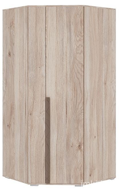 Шкаф платяной Лайк 06.01 (дуб мария дуб мария, какао  980x980x2100)