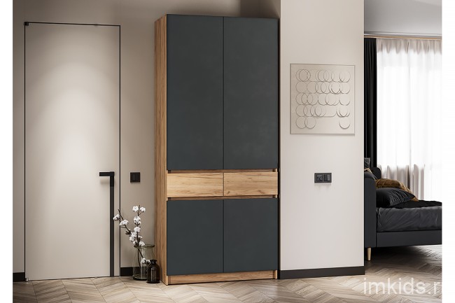 Шкаф распашной Стоуби ШК-1000 дуб крафт /графит Шкаф распашной Стоуби ШК-1000 дуб крафт /графит