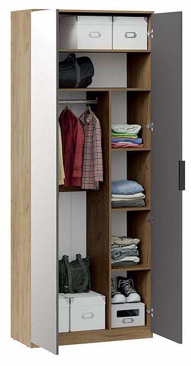 Шкаф платяной Хилтон Исп. 2.1 (дуб крафт золотой графит  900x428x2260)