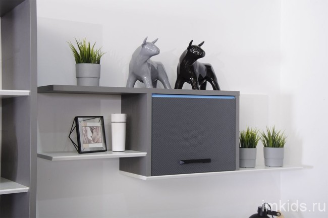 КАРБОН Полка НП1