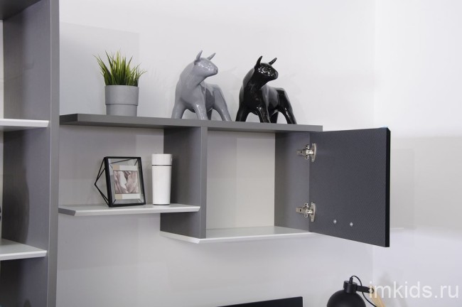 КАРБОН Полка НП1