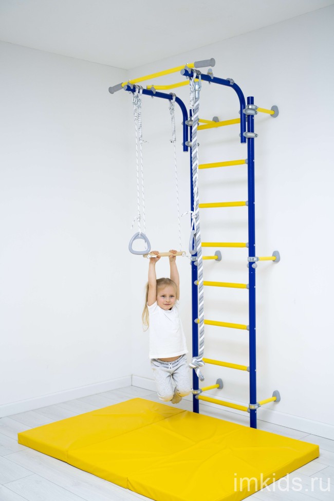 ДСКМ "Romana Next Top" (01.21.8.06.490.03.06-24) синяя слива