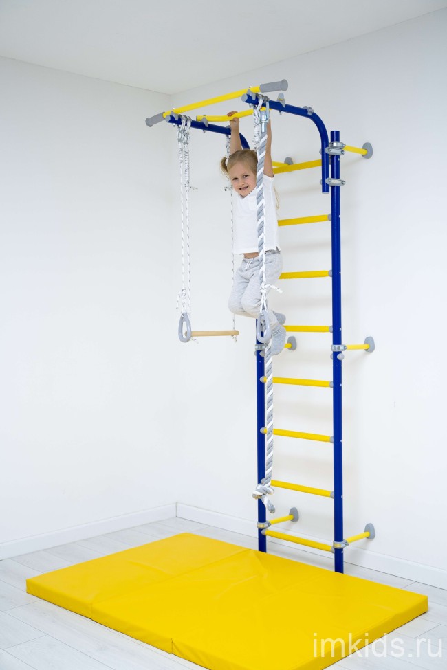 ДСКМ "Romana Next Top" (01.21.8.06.490.03.06-24) синяя слива