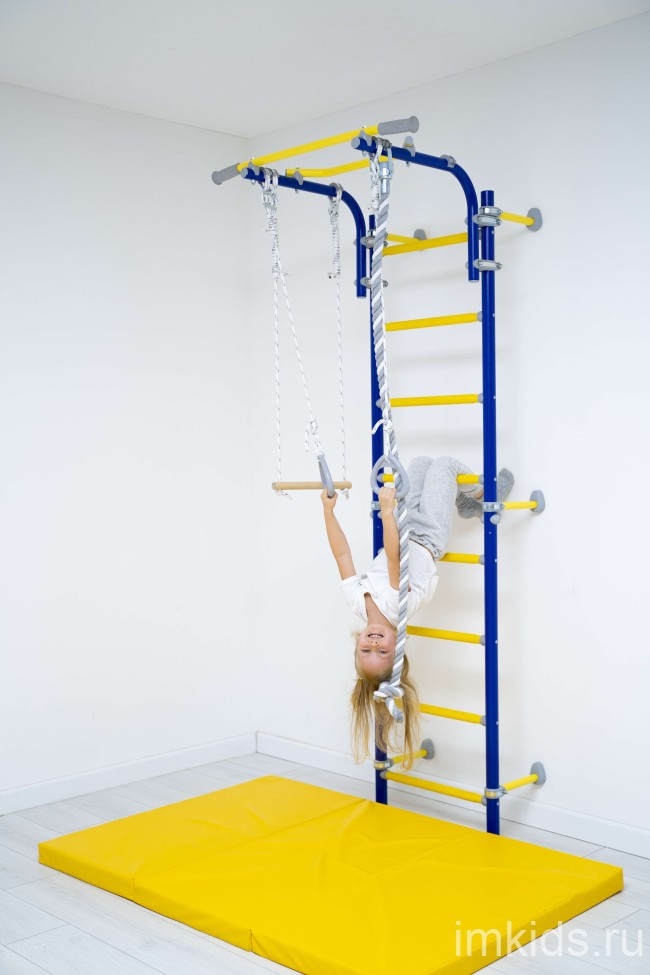 ДСКМ "Romana Next Top" (01.21.8.06.490.03.06-24) синяя слива