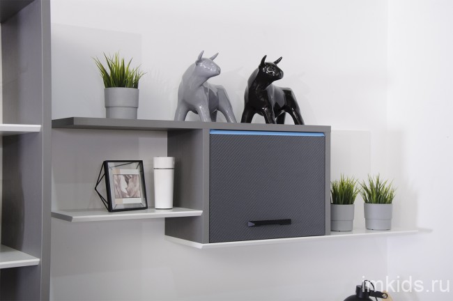 Комната "Карбон" 