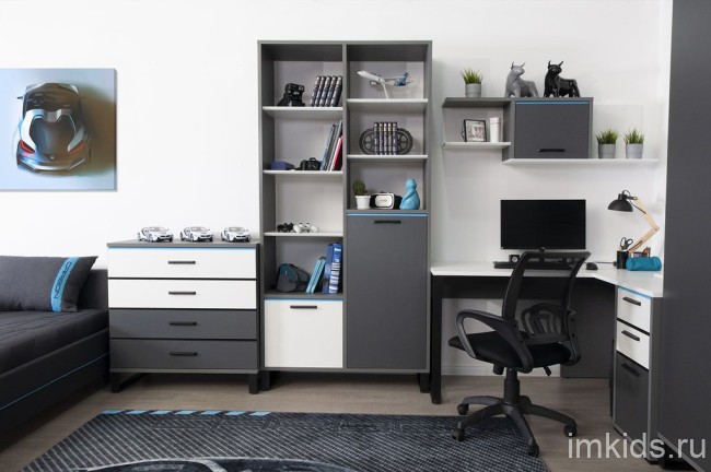 КАРБОН Шкаф книжный ШК