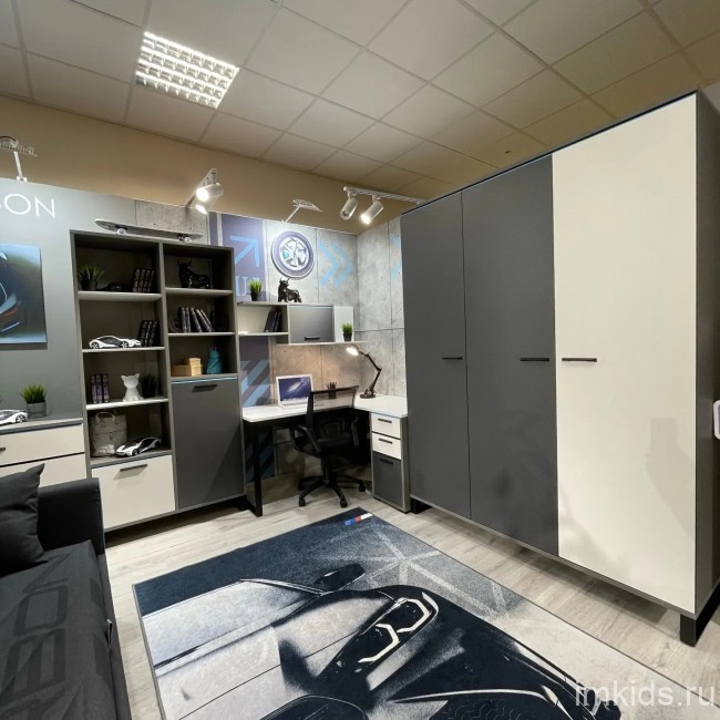 КАРБОН Шкаф Ш3