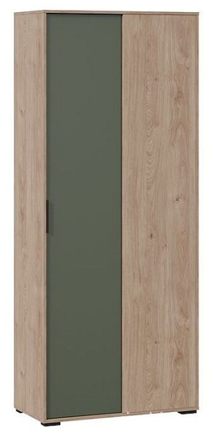 Шкаф платяной Лео ТД-410.07.23 (гикори джексон дымчатый зеленый  900x448x2162)