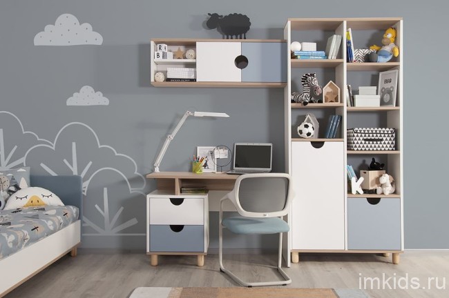 Барни Полка НП1