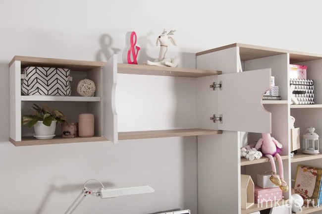 Барни Полка НП1