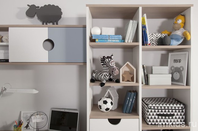 Барни Шкаф книжный ШК