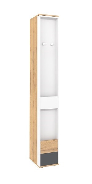 Шкаф МЦН Лойс 85