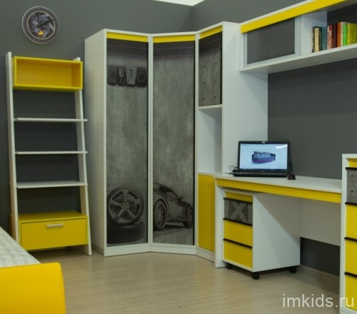 "Колледж" шкаф-пенал 2-х дверный П1