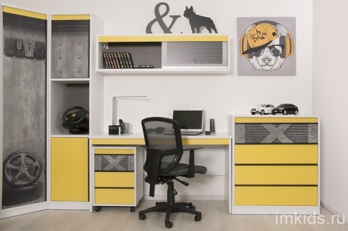 "Колледж" шкаф-пенал 2-х дверный П1