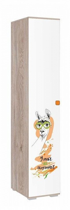 Шкаф платяной Зоо (дуб мария белый с цветным рисунком  402x546x2100)