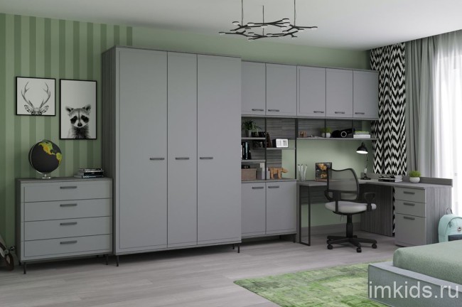 КОЛЛЕДЖ Шкаф 2-х дверный Ш2